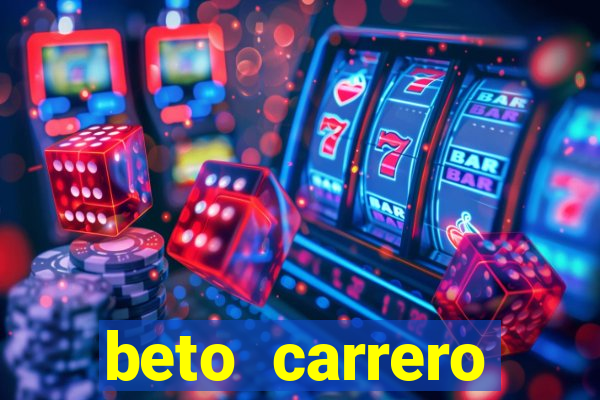 beto carrero cidades proximas